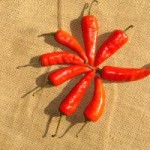 What Is Capsaicin? - Diet Pill Ingredients Reviewed