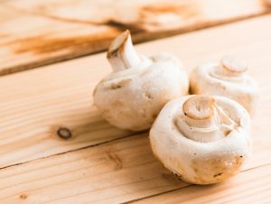 vegan chitosan